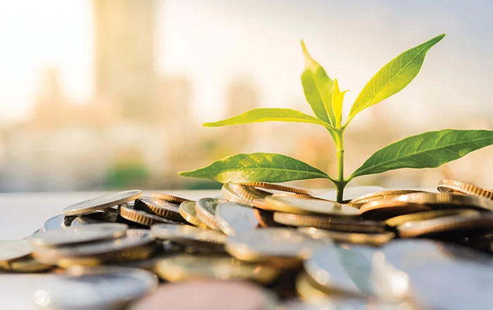 PlantMoney.jpg