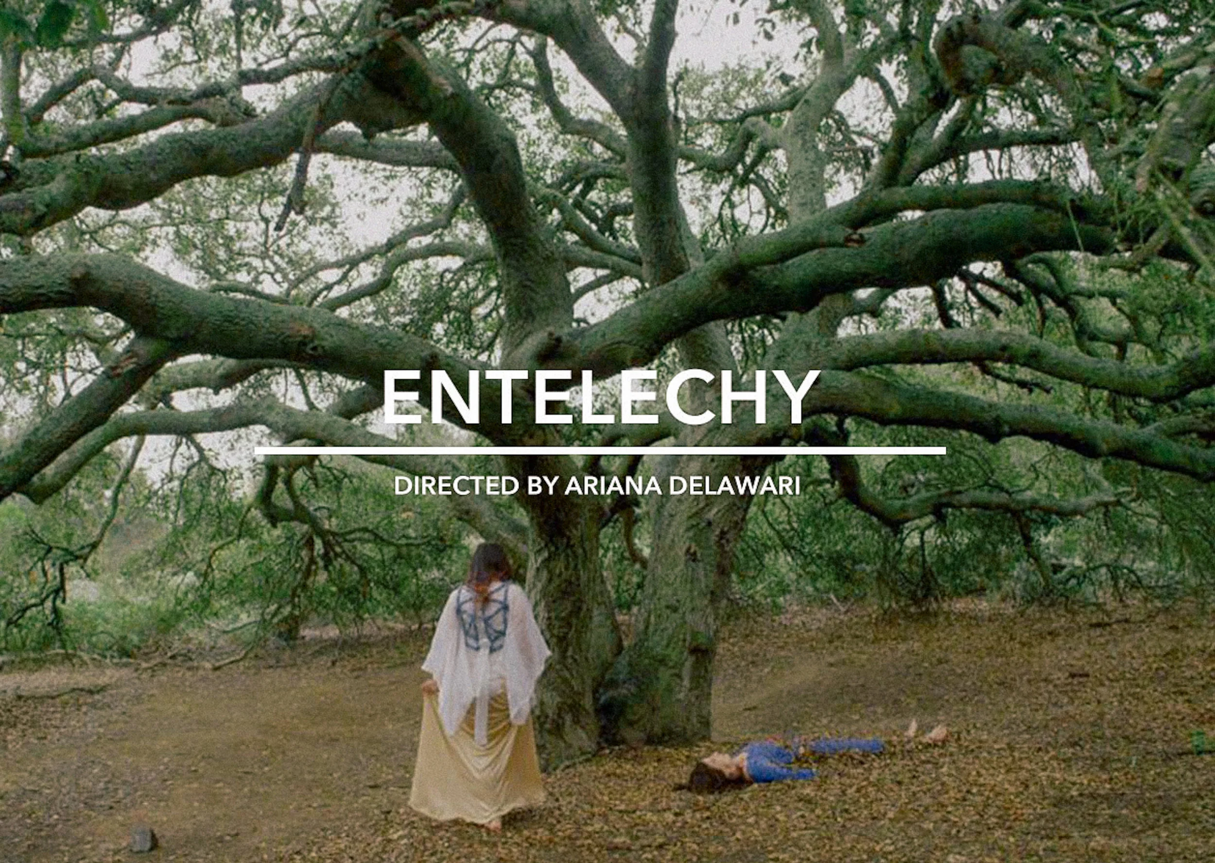 entelechy.jpg