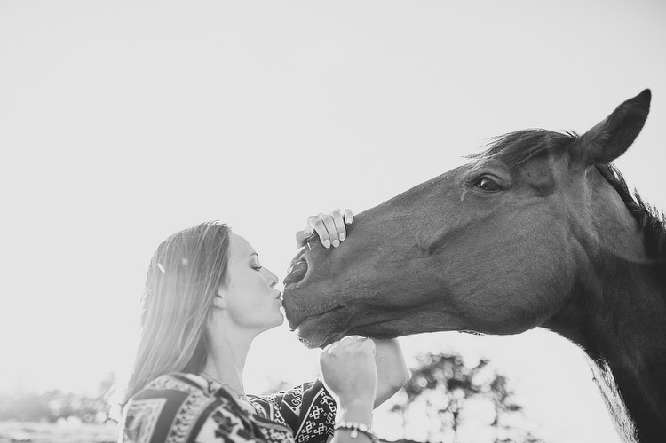 horses engagement photo