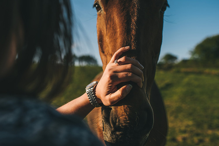 horse engagement portraits