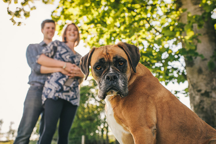  Engagement Photographer NI 