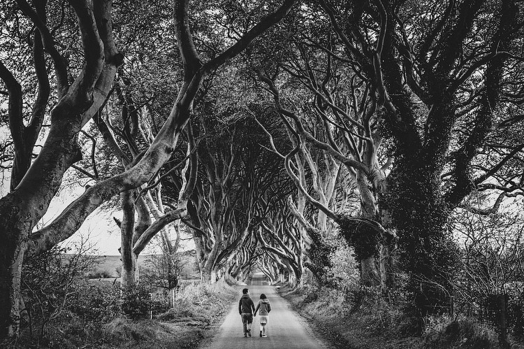 the dark hedges engagement portraits