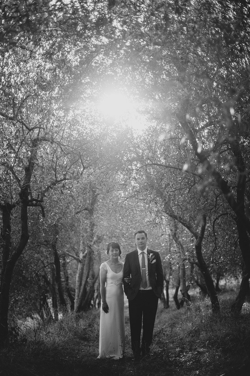 olive grove wedding