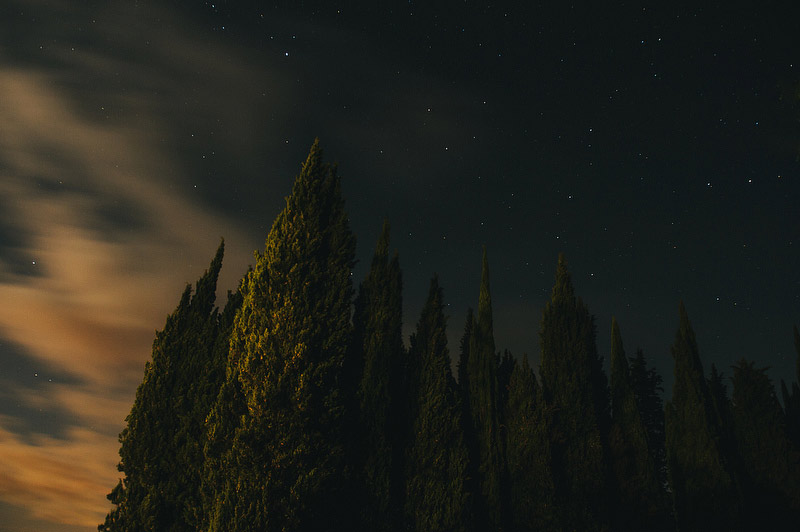 tuscany night trees