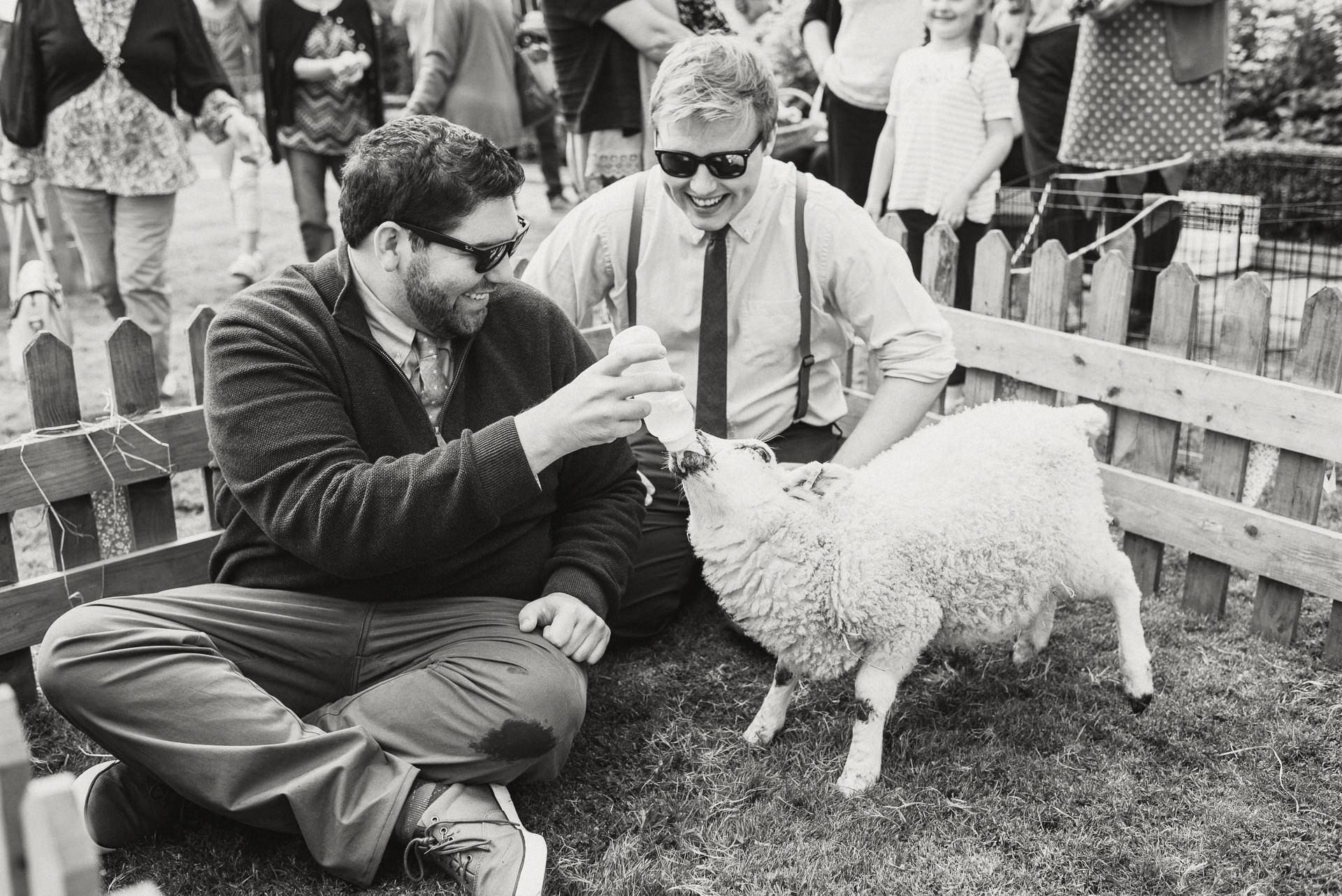 petting zoo wedding