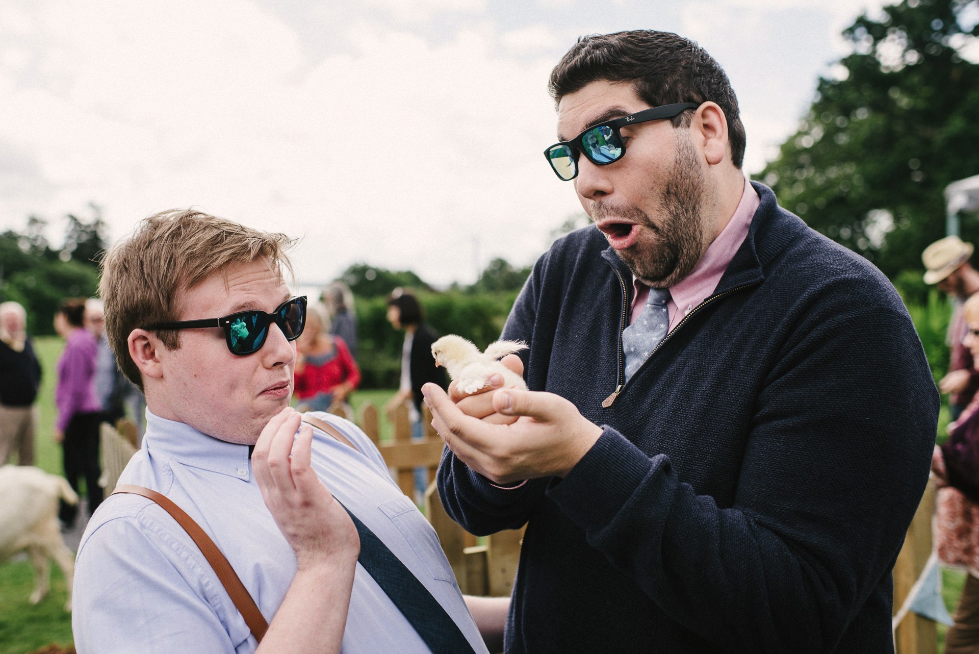 petting zoo wedding ireland