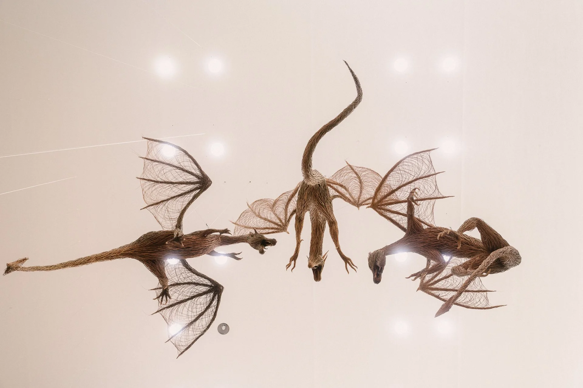 Ulster Museum dine with the dinosaurs.JPG
