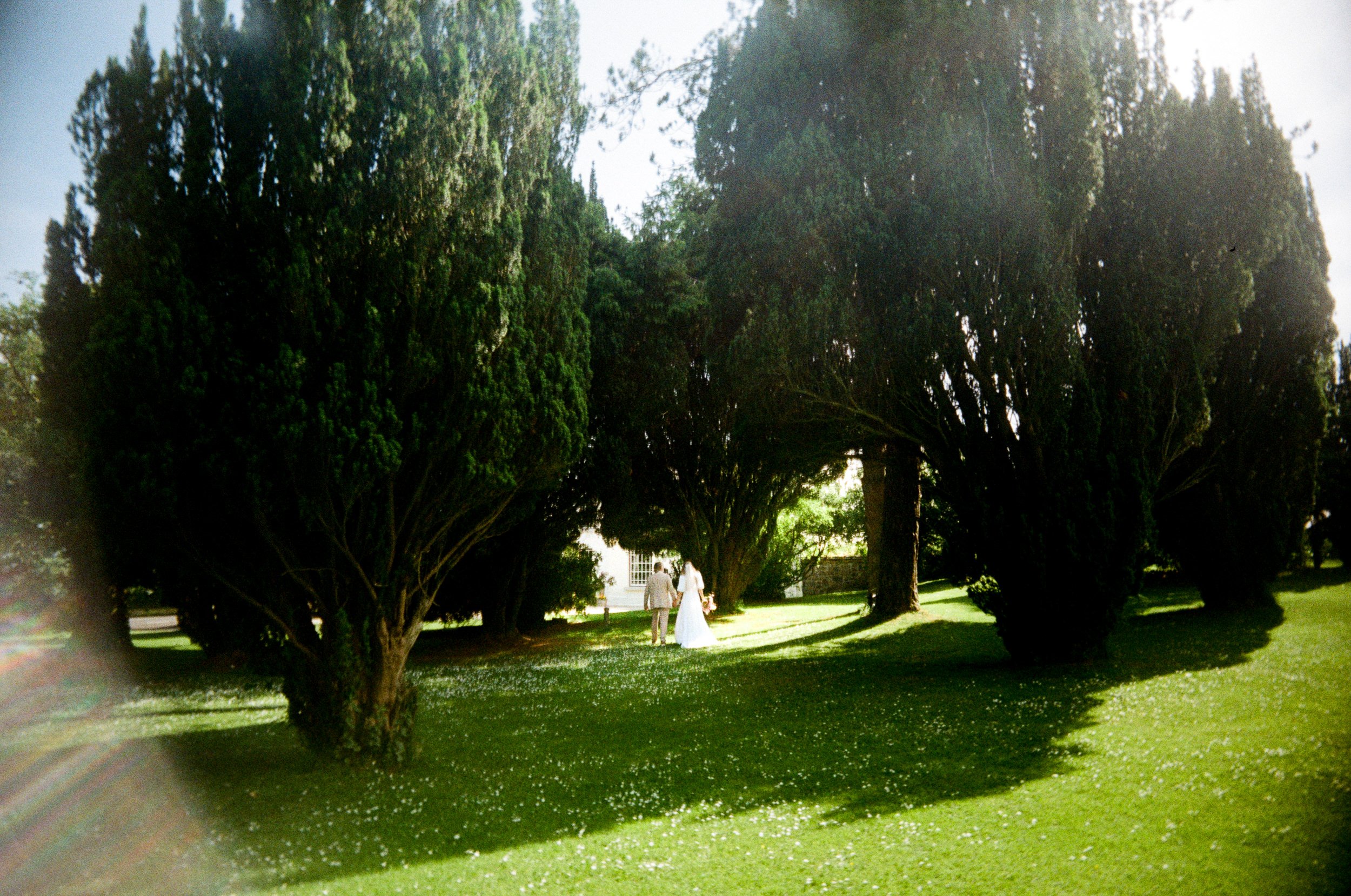 limepark armoy film wedding photographer.jpg