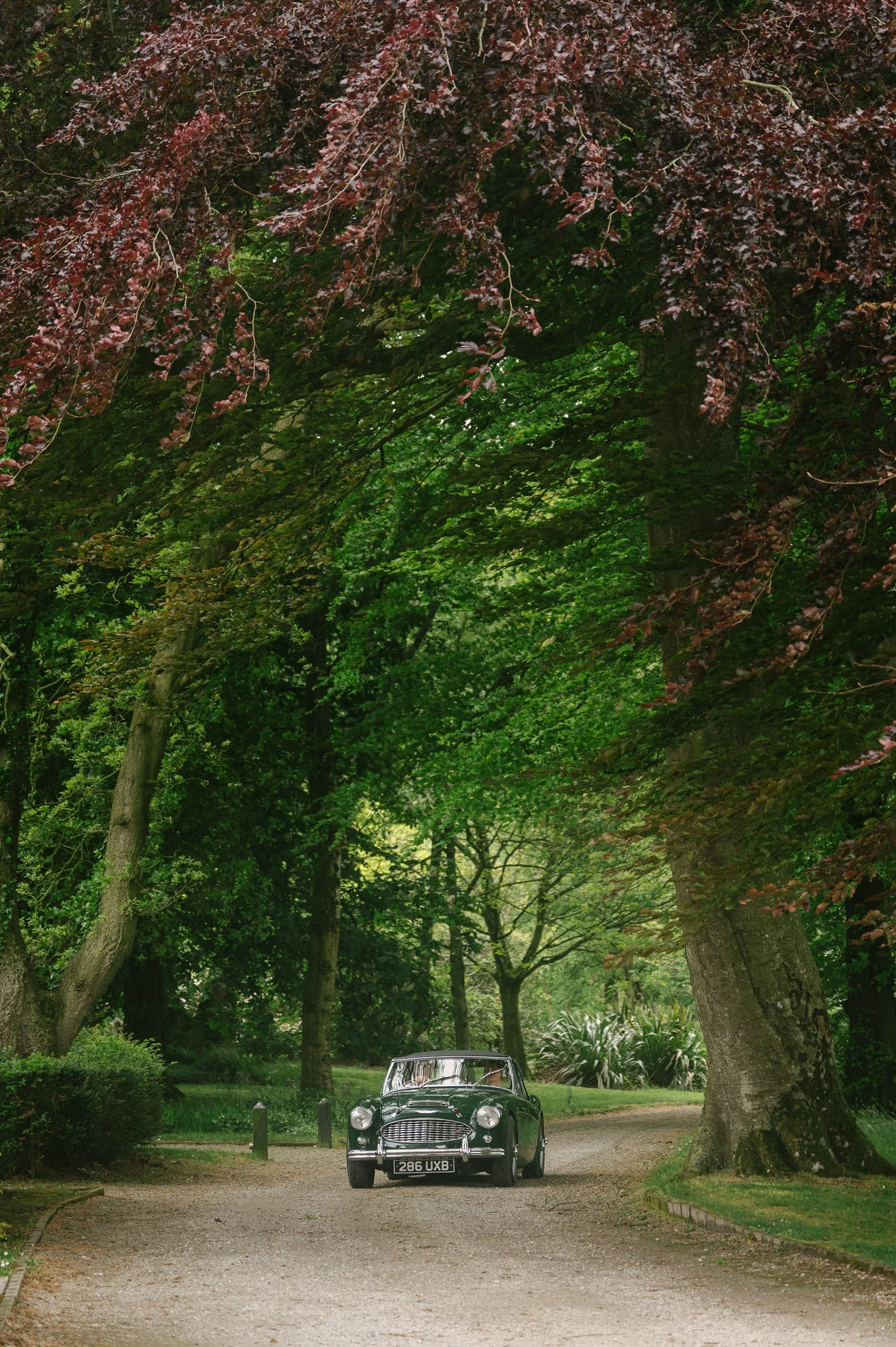Tullyveery house wedding arriving main avenue