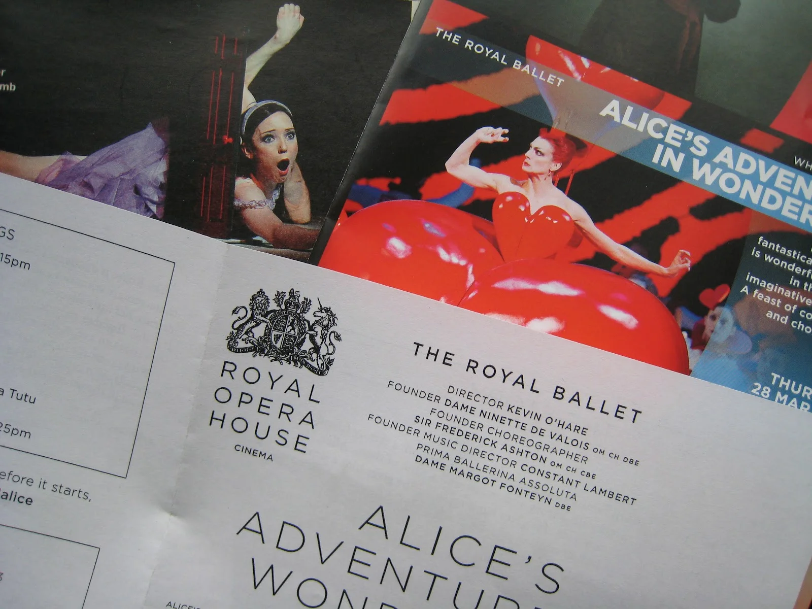 alice in wonderland.JPG