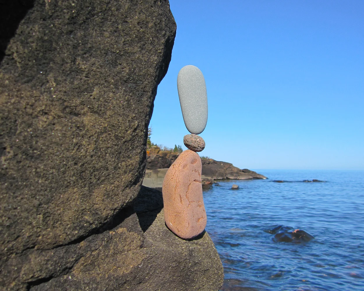 Niche