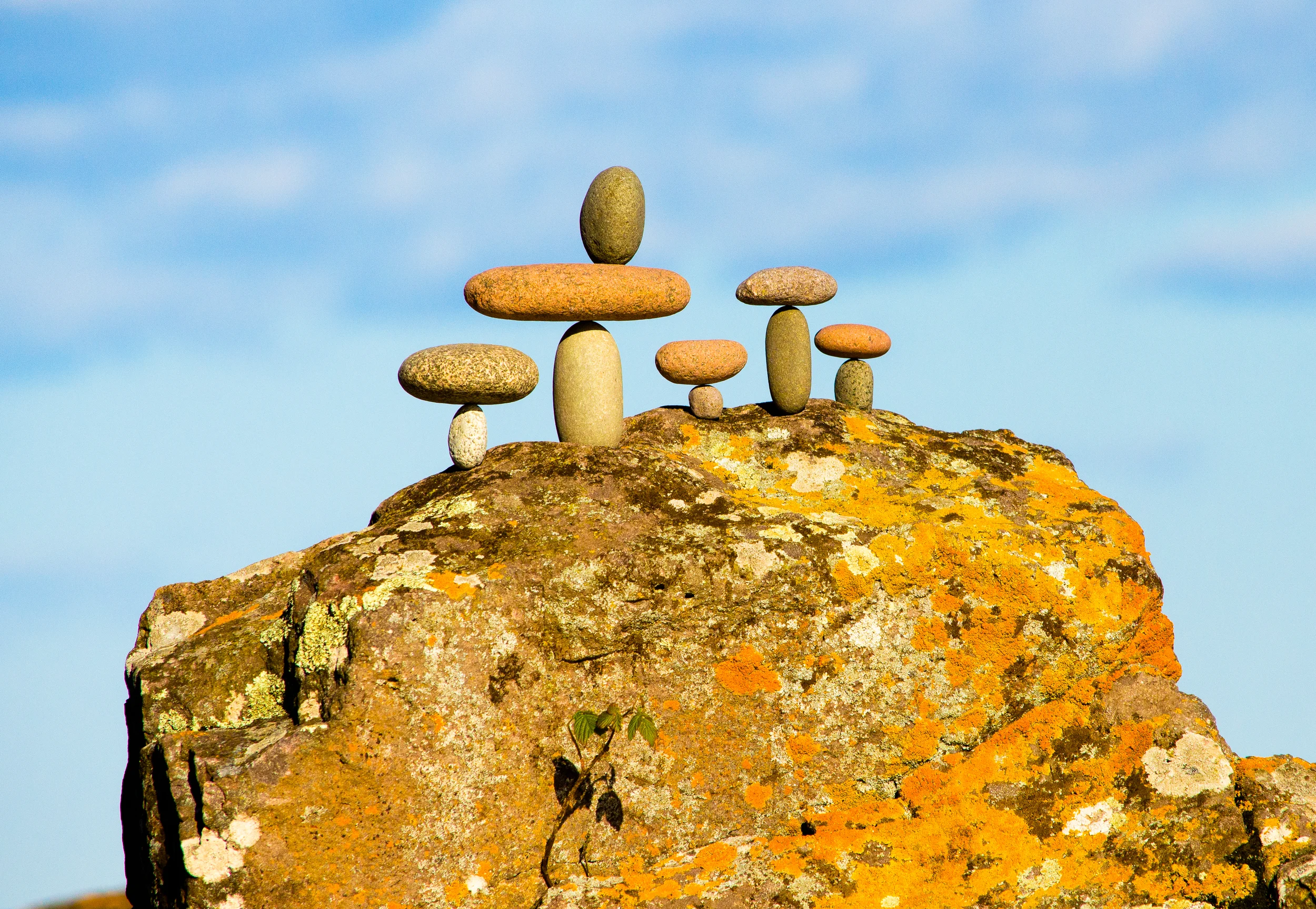 Lichen Pedestal