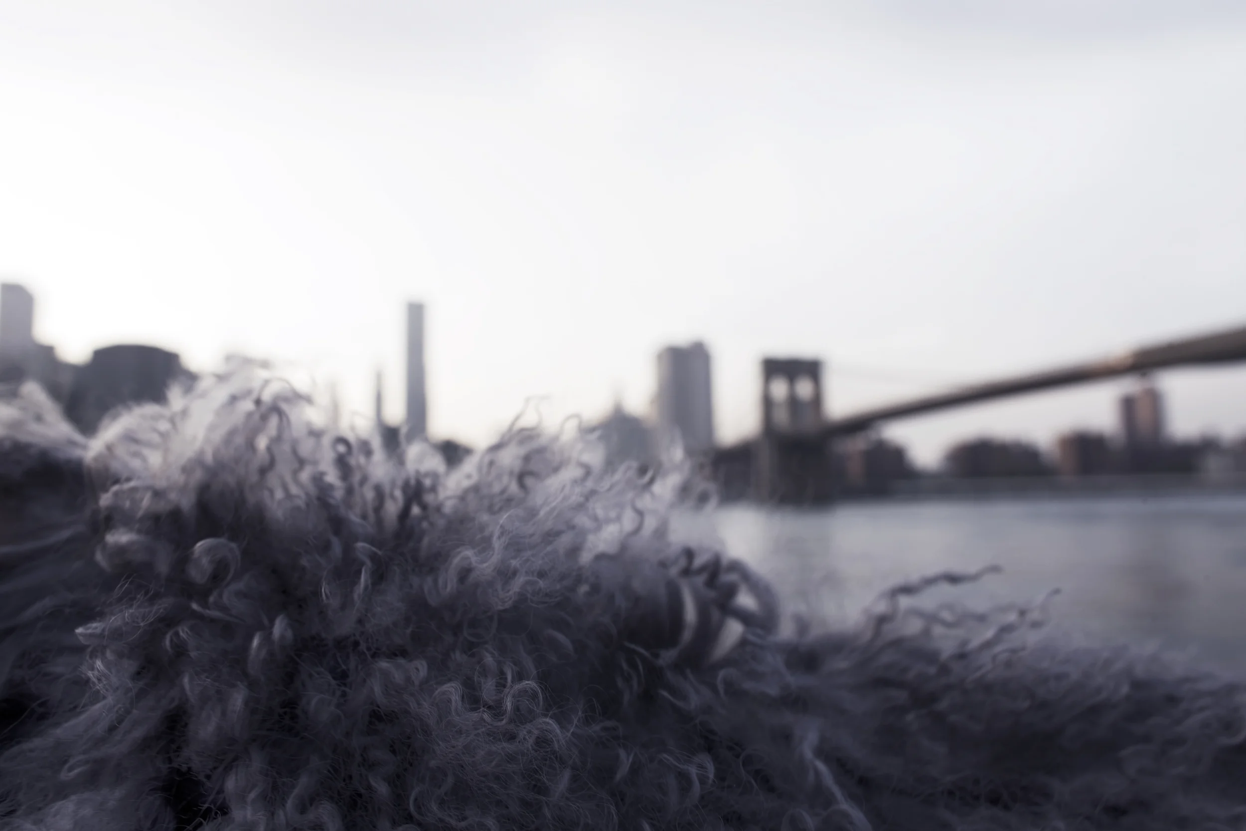 ISLAND TO..29C3640.jpg