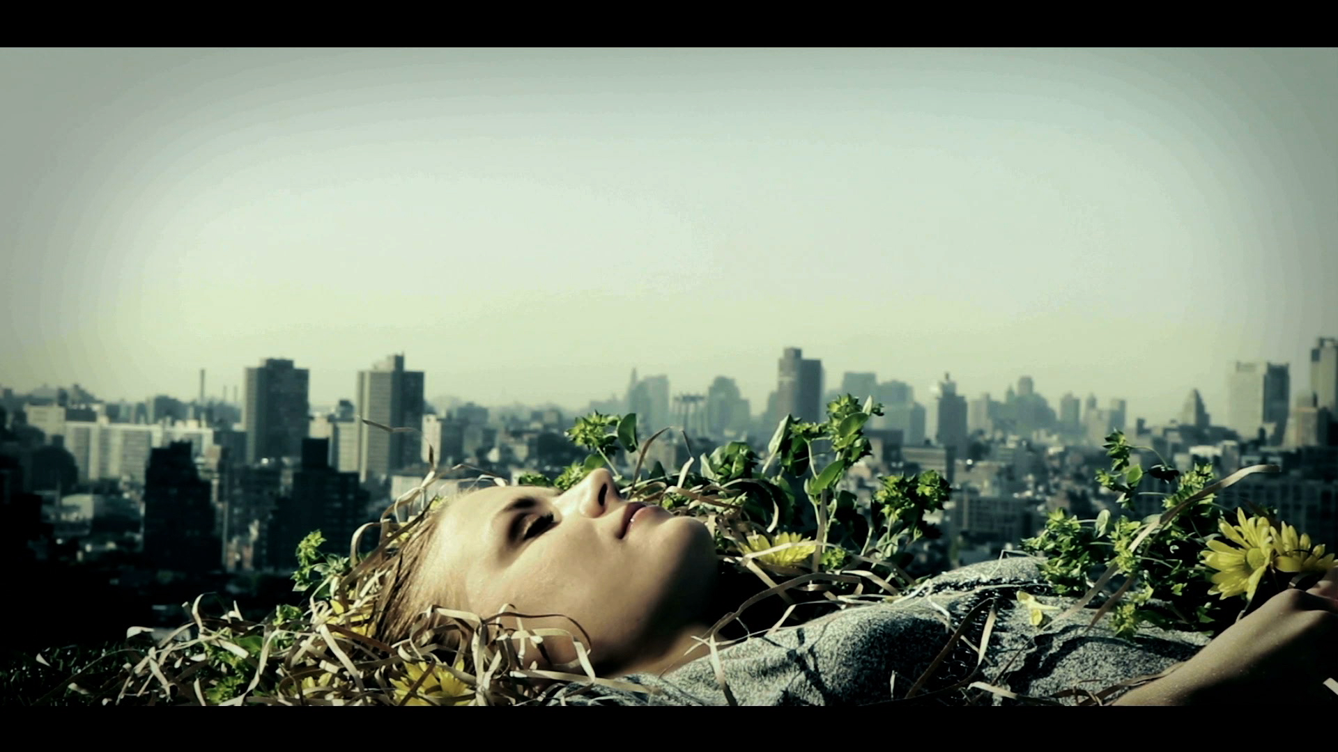 From One Island To Another