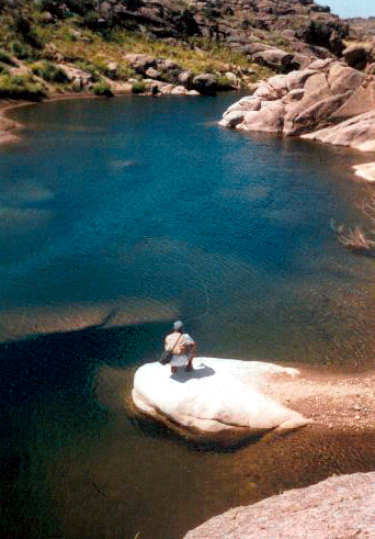 fish18.gif