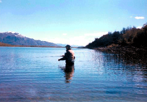 fish16.gif
