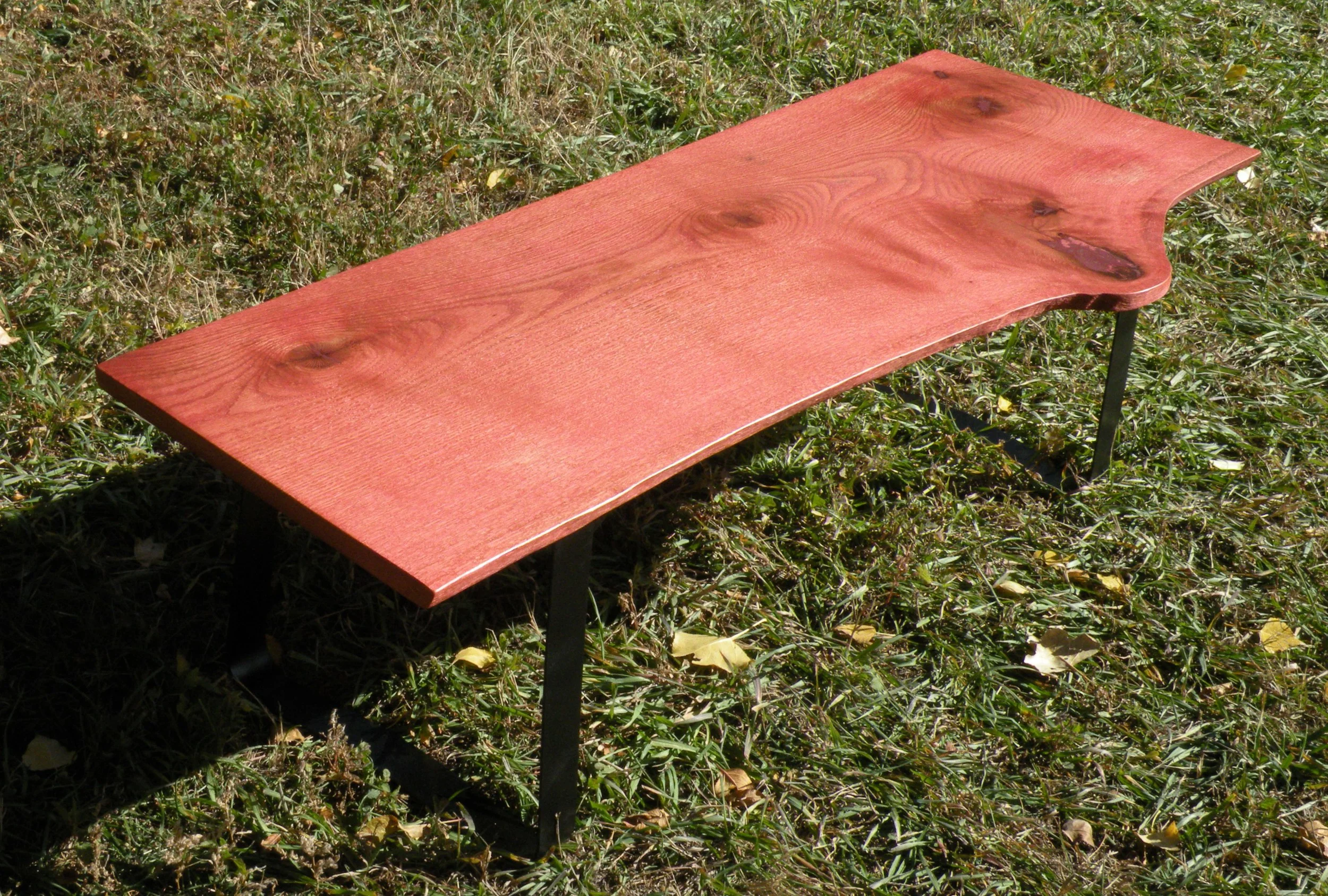 DSCN4806.JPG