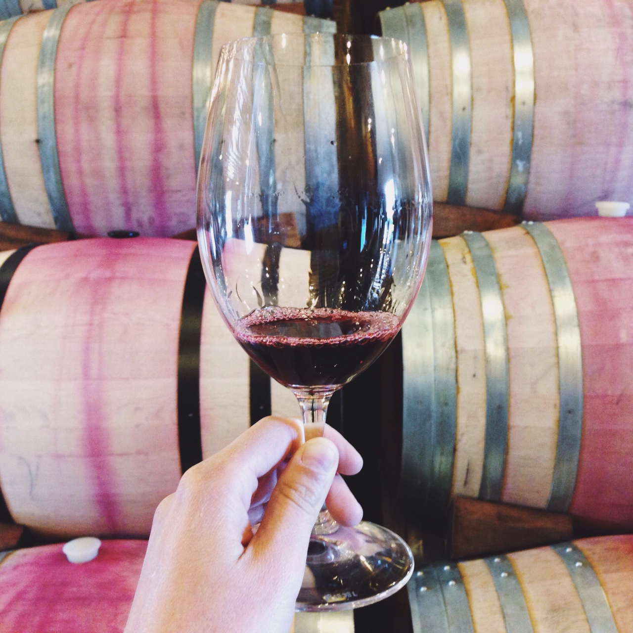 Cathy Corison is a badass and her '05s are like drinking heaven.