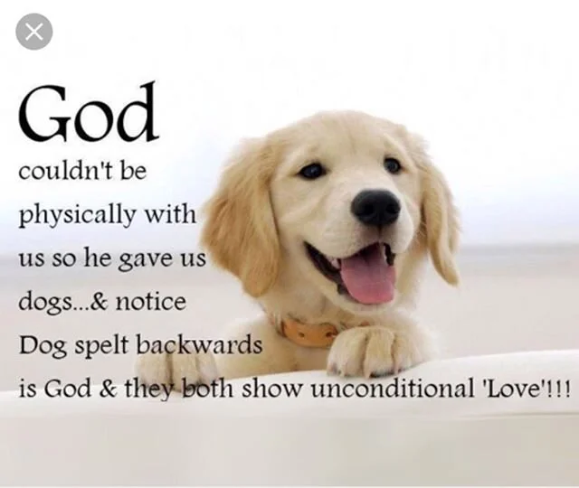In this time of Covid people are praying to God for help with this disaster.  He can not be physically present so he gave us DOGS.  Pets are helping a lot of people get through this situation.🙏🏻🙏🏻🙏🏻🐶🐶🐶🐶