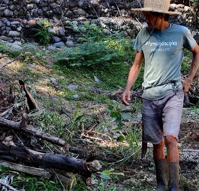 Hemos empezado el proyecto de agricultura aqu&iacute; en el pueblo para el pueblo. Si ustedes (Esterillos) quieren contribuir con sus manos participando, contribuyendo, aprendiendo, construyendo algo juntos comun&iacute;quense, con nosotros. Pura Vid