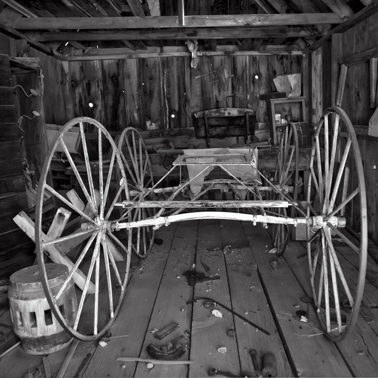 bodie5.jpg