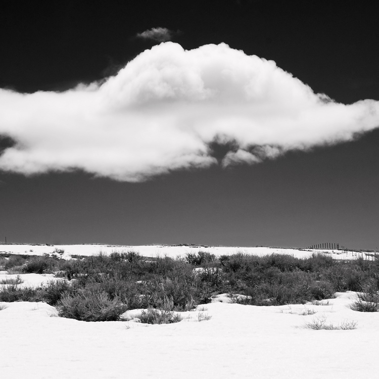 bodie12.jpg