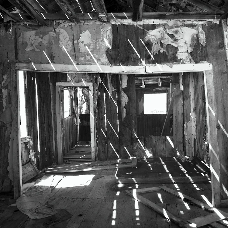 bodie13.jpg