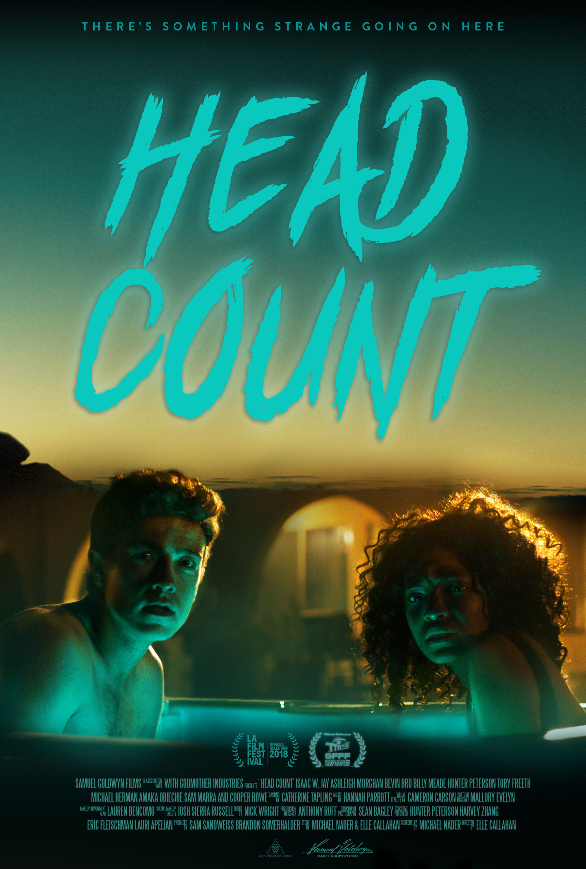 Hed Count Poster.jpg