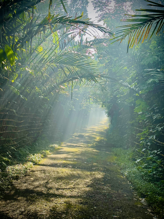 Spring Equinox Color Reiki Immersion