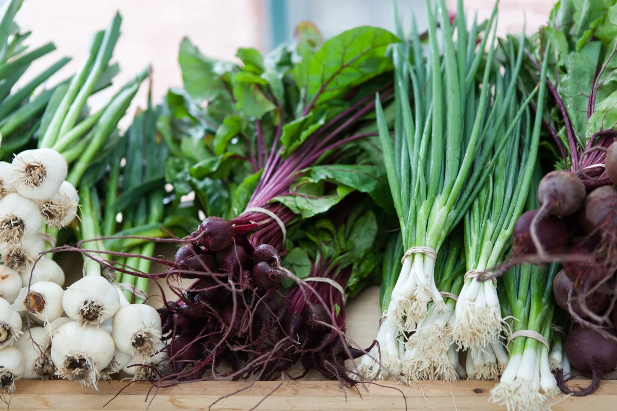 wingate_farm_produce_alyssa_robb_photography-2.jpg