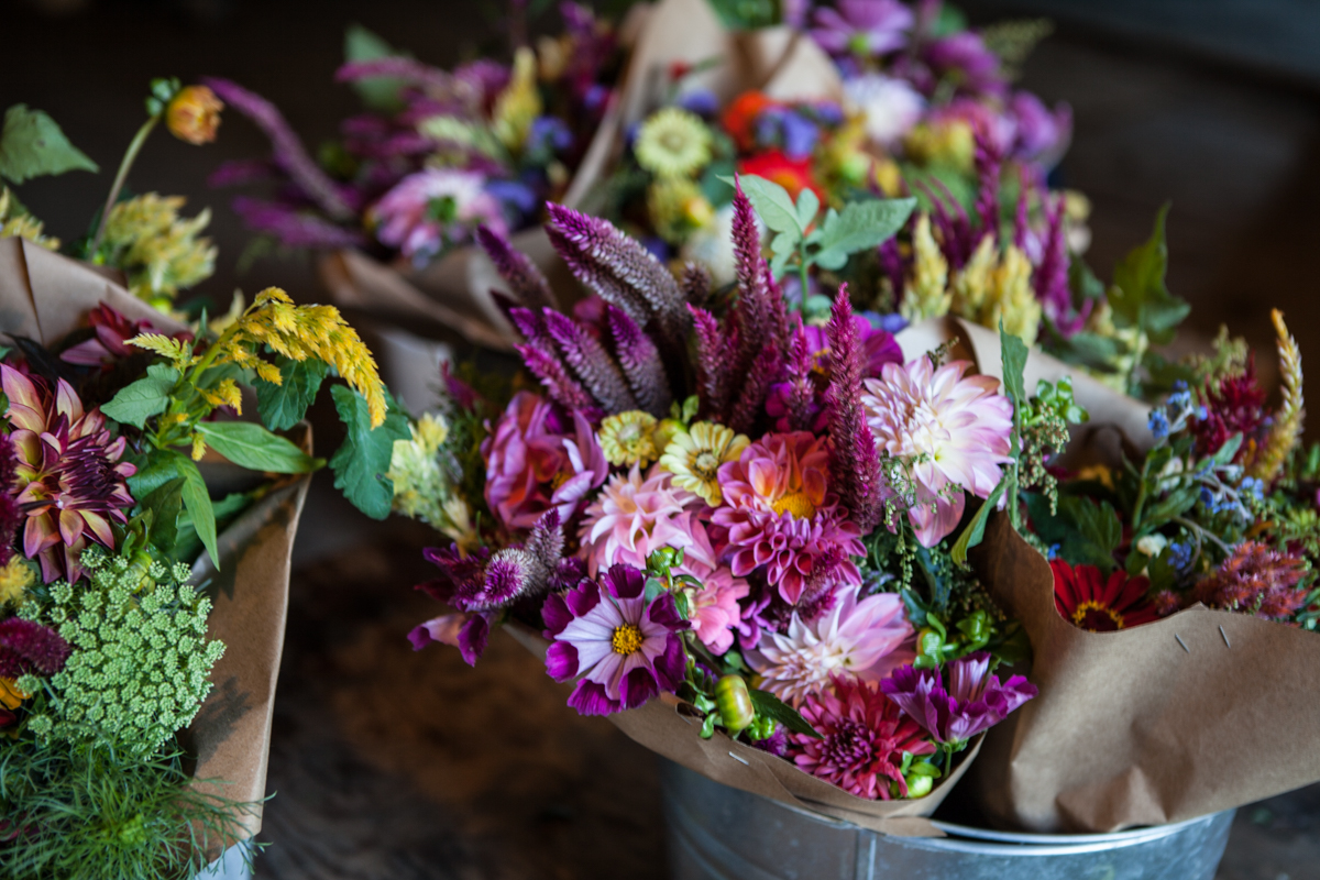 wingate_farm_flowers_alyssa_robb_photography-19.jpg