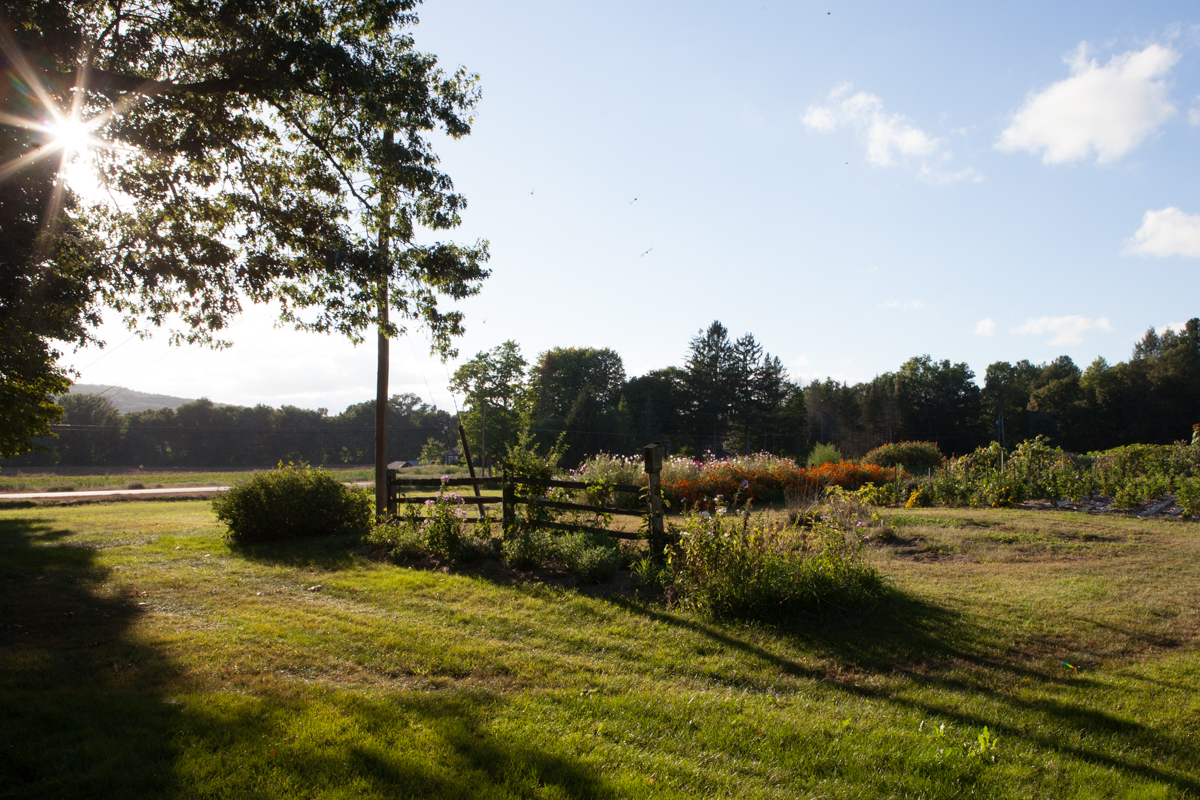 wingate_farm_history_alyssa_robb_photography-6.jpg
