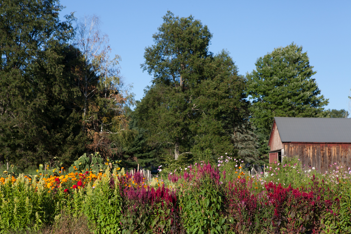 wingate_farm_history_alyssa_robb_photography-9.jpg