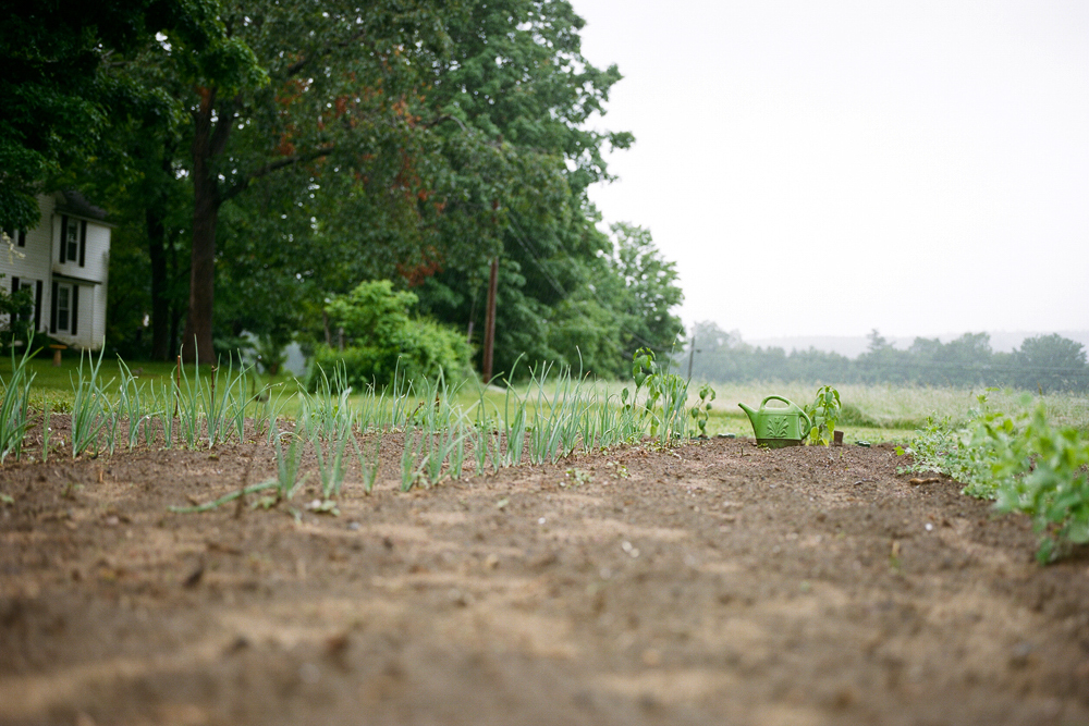 wingate_farm_history_alyssa_robb_photography-11.jpg