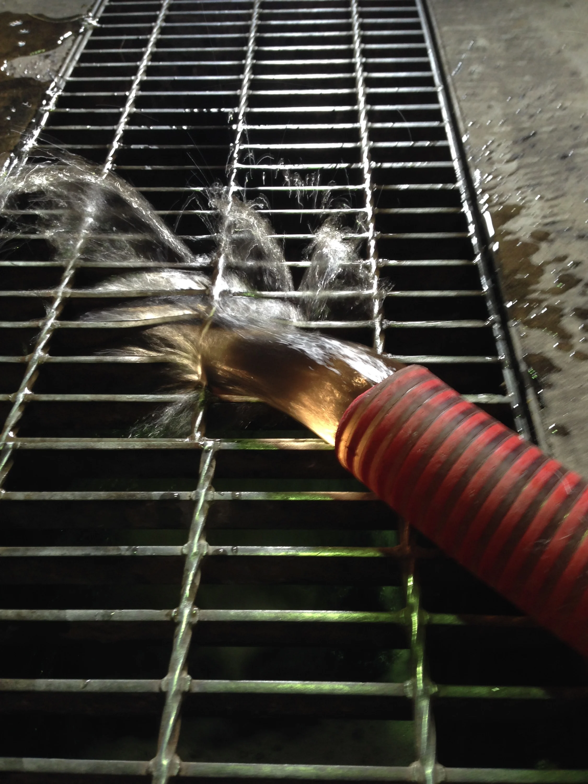 Cleaning Cross Flow Filters