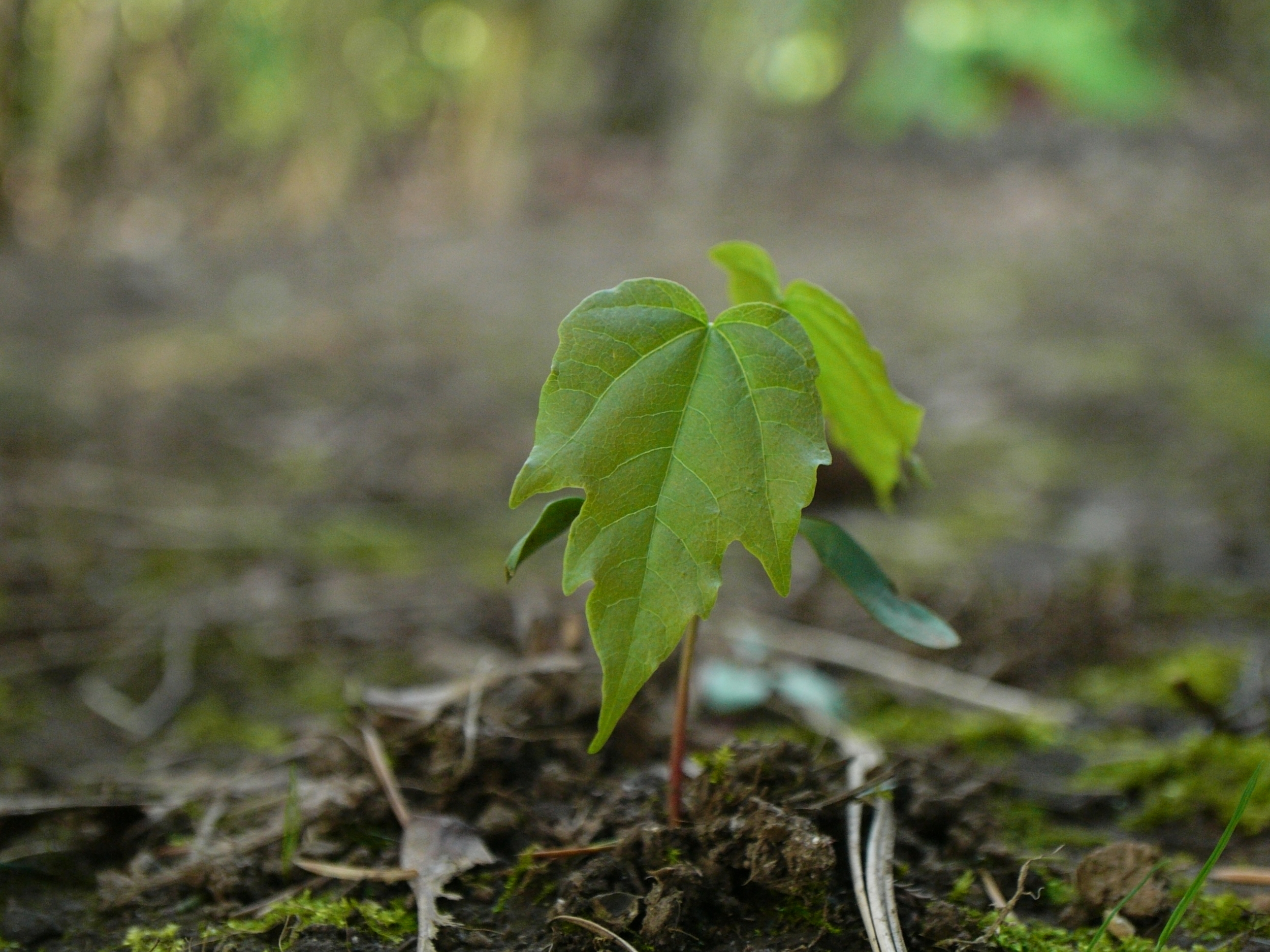 P1020624.JPG