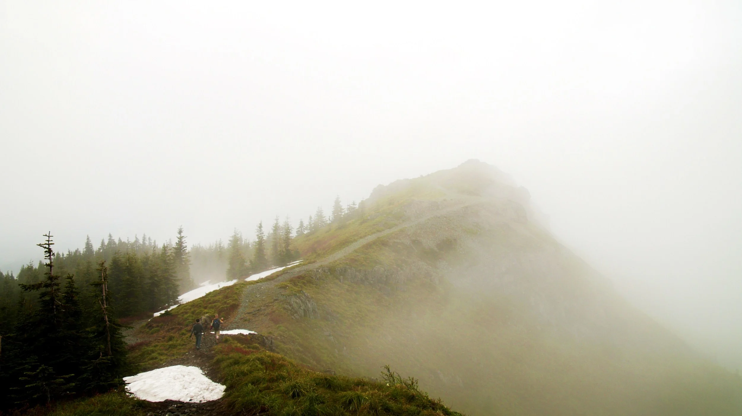 horse crap and snow 144.JPG