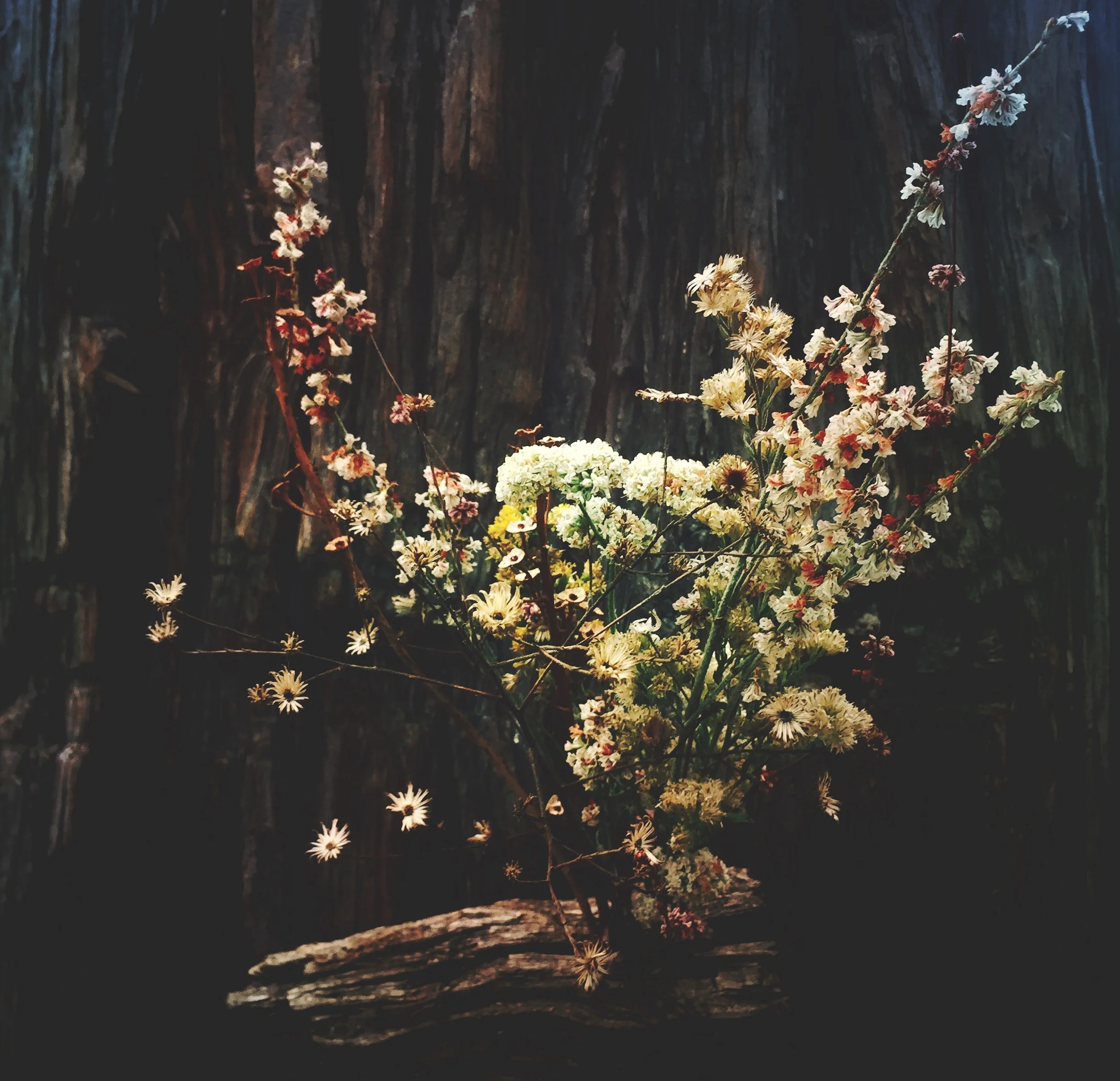 Floral