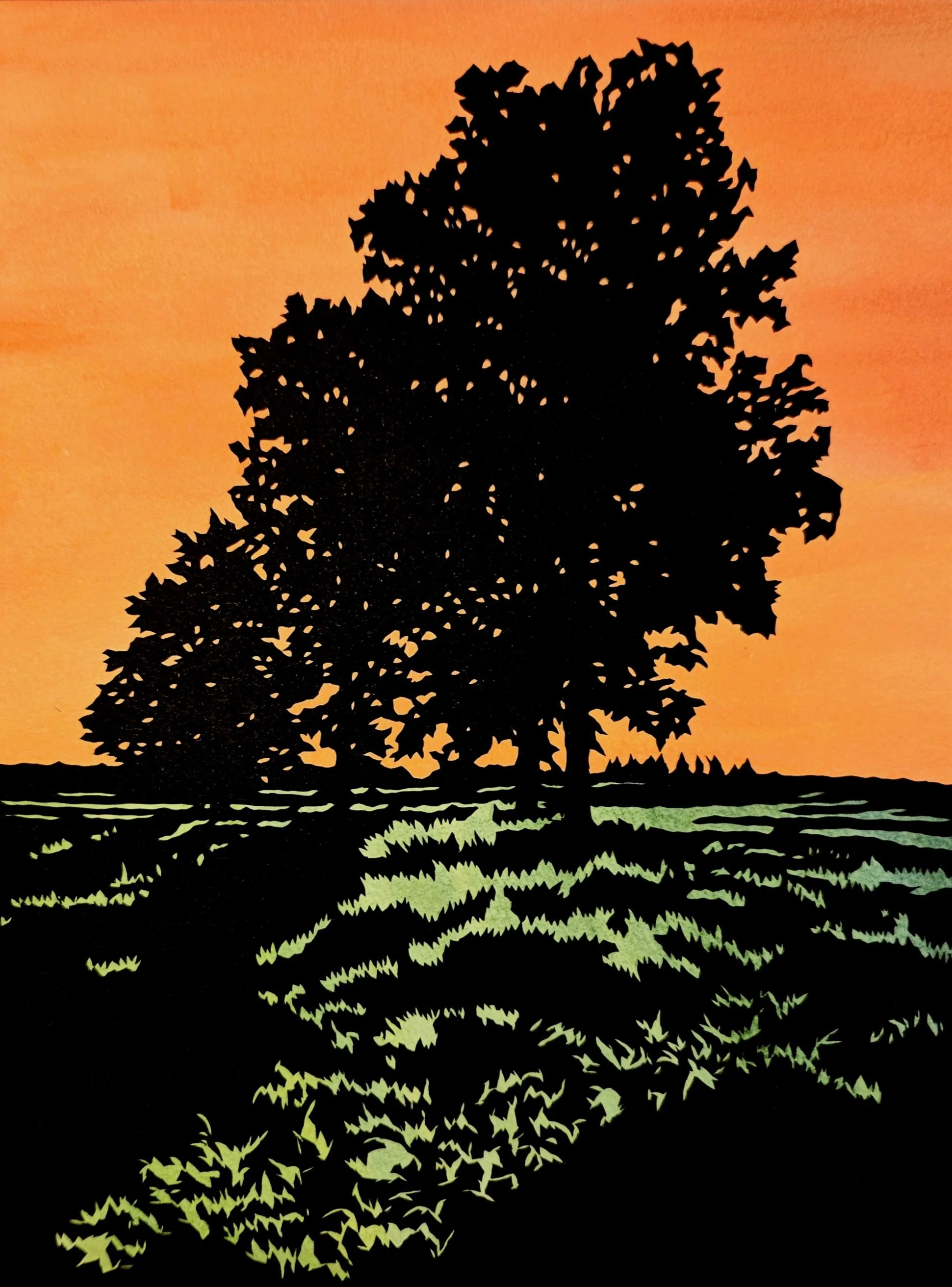 Trees &amp; Shade #13 (A)