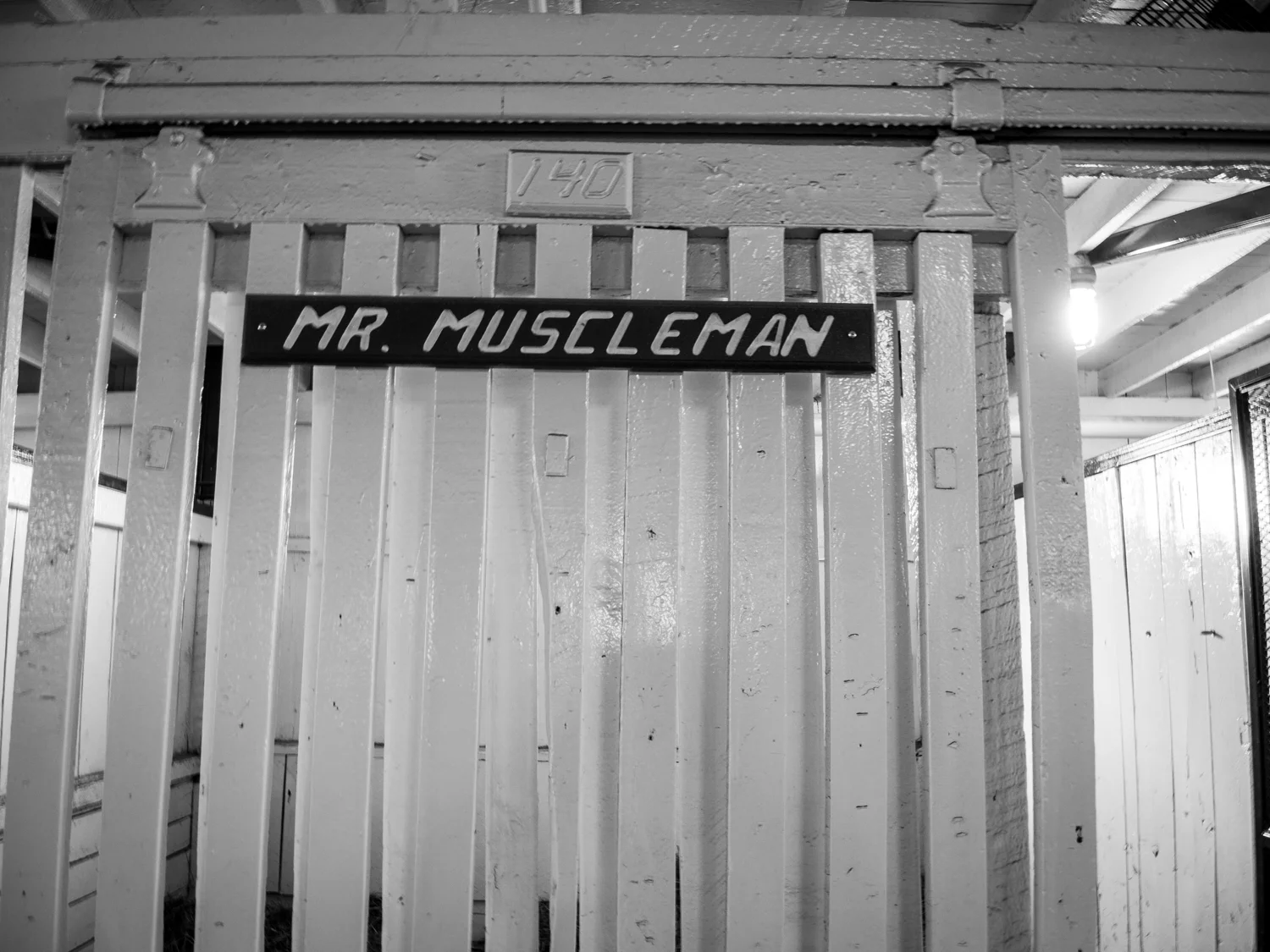 Mr. Muscleman in the Hall of Champions at the Kentucky Horse Park