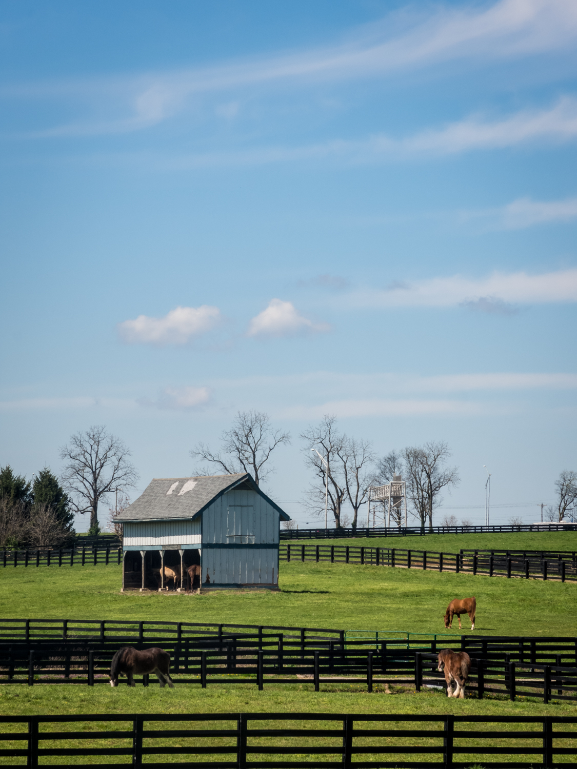 Playground view at the Kentucky Horse Park