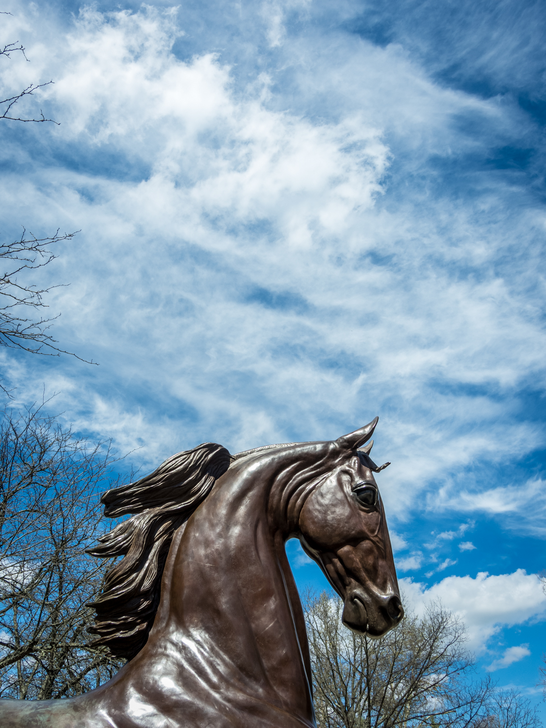 Statue at the Kentucky Horse Park