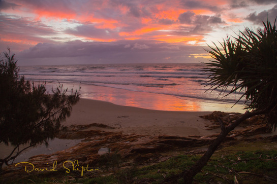'Sunrise Safaris' with David Shipton Photography