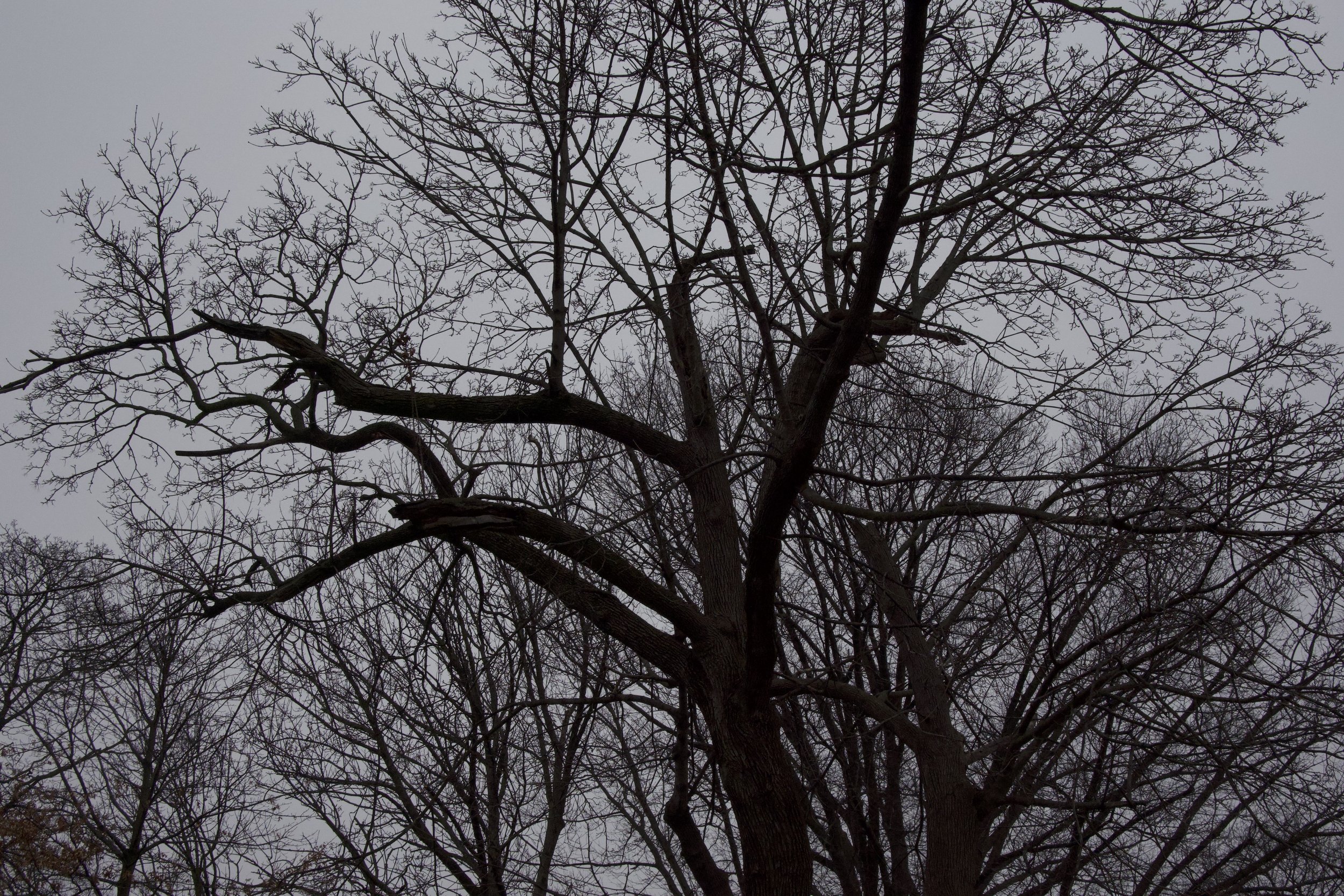 DSC00013.jpeg