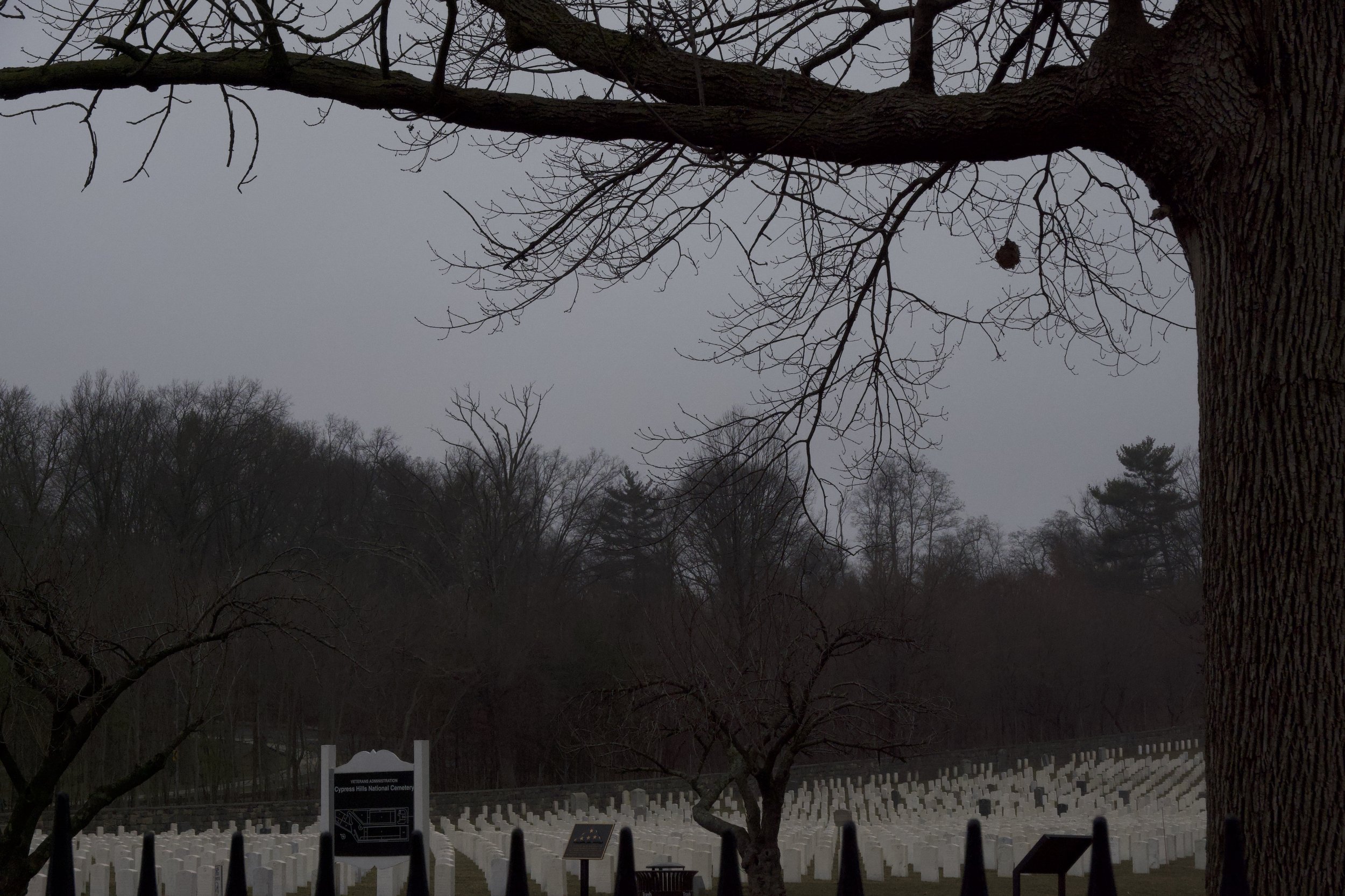 DSC00016.jpeg
