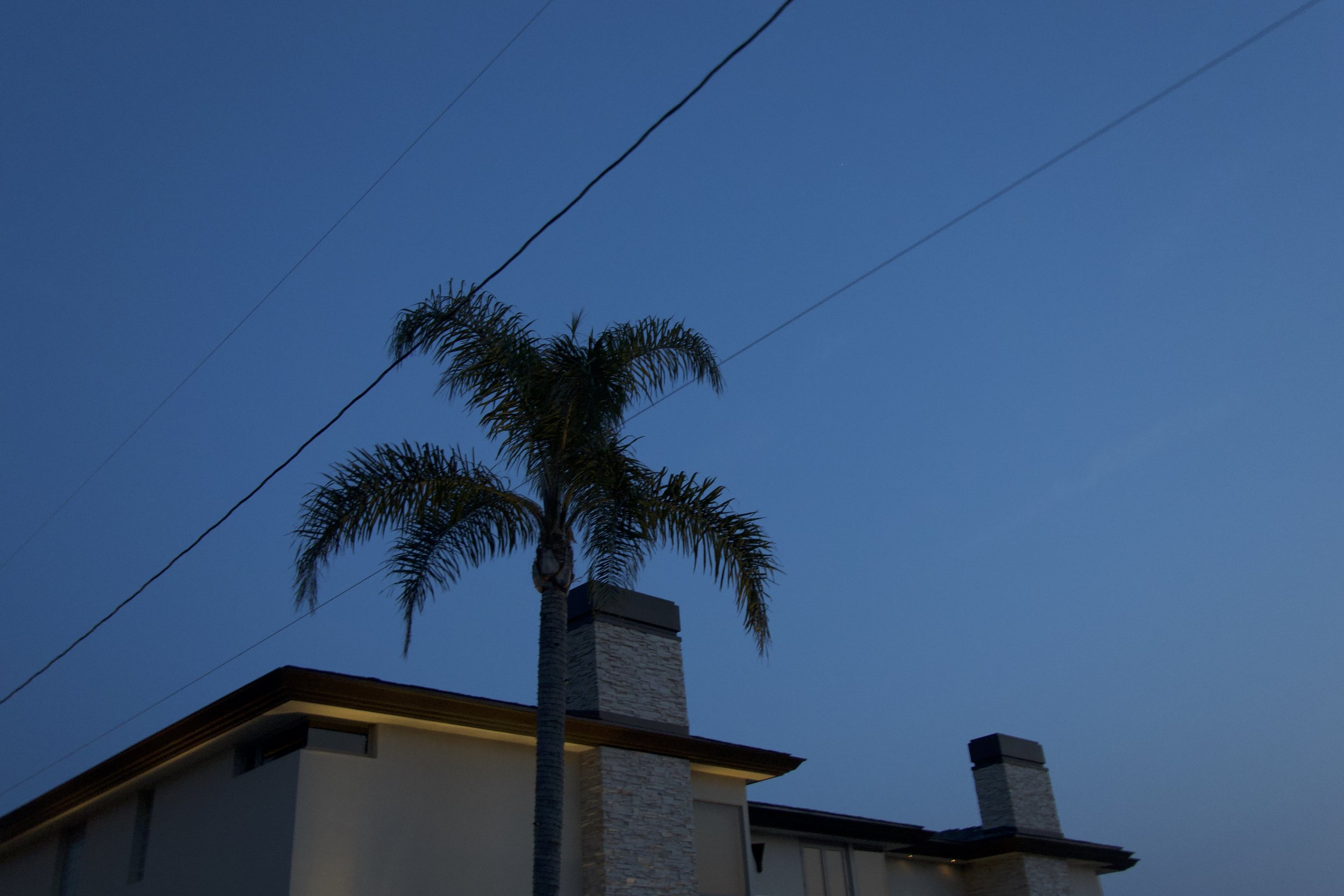 DSC00071.jpeg