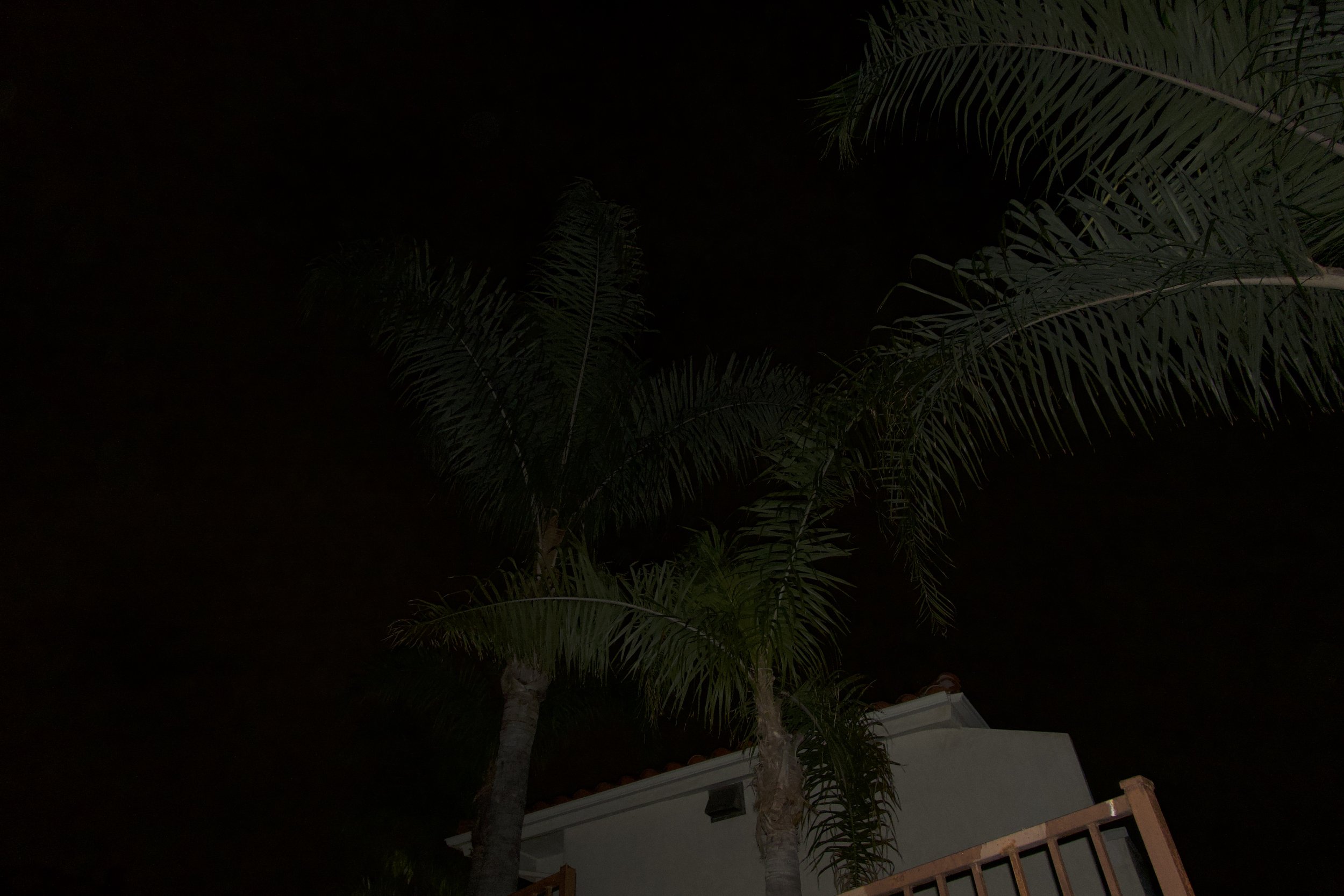 DSC00101.jpeg
