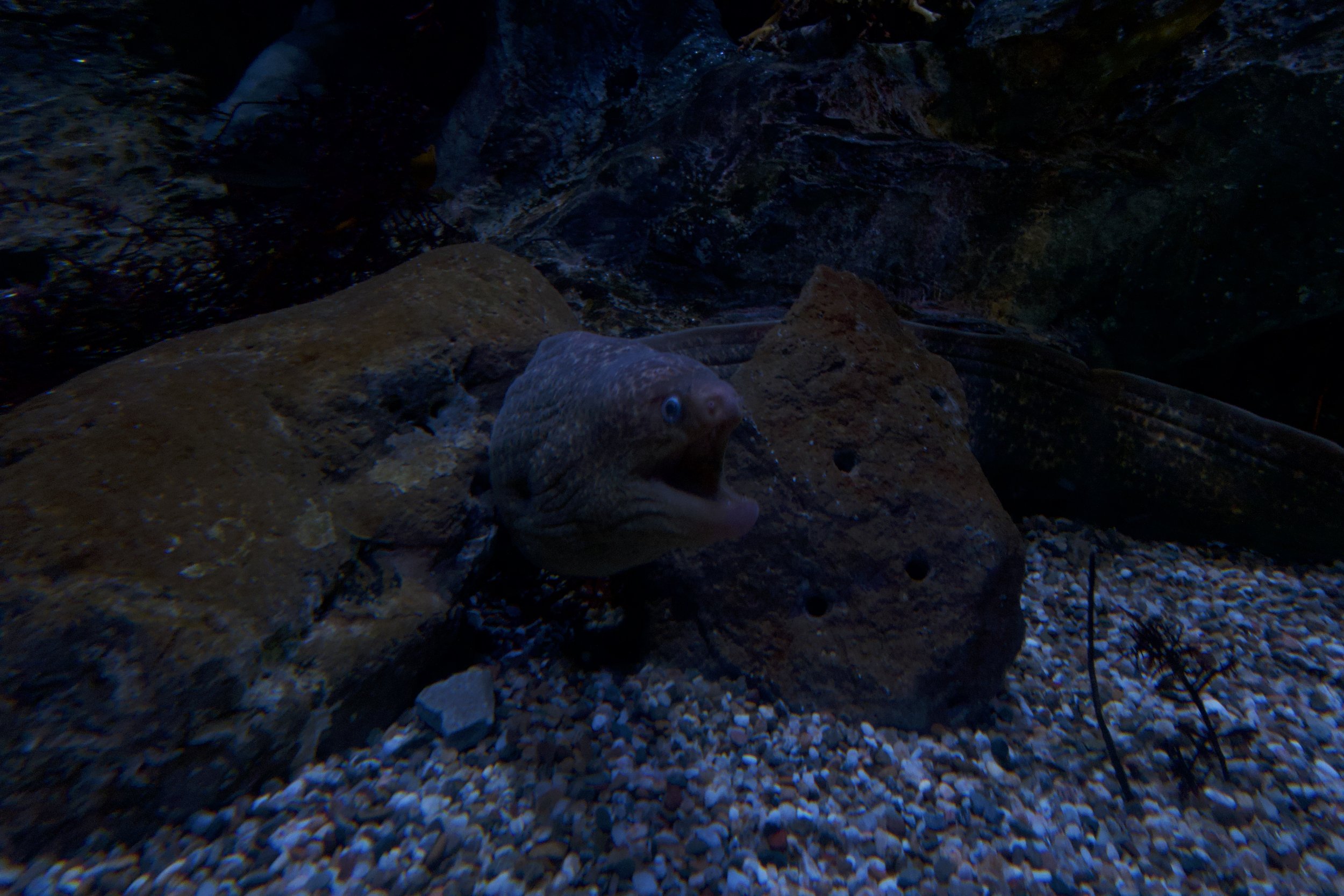 DSC00128.jpeg