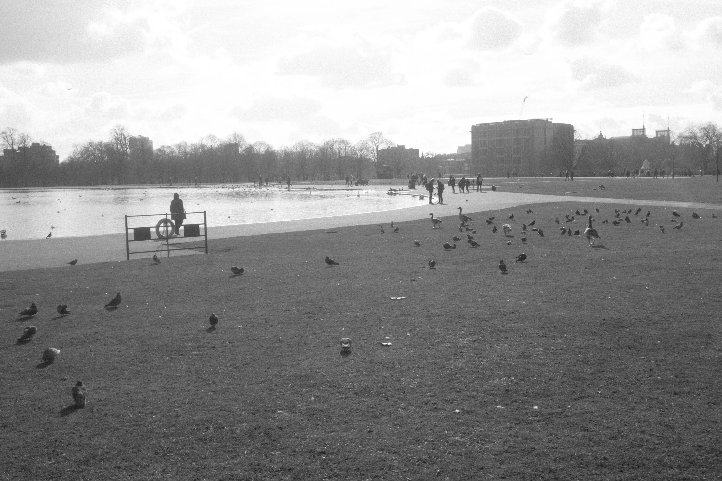 DSCF8614-2.jpg