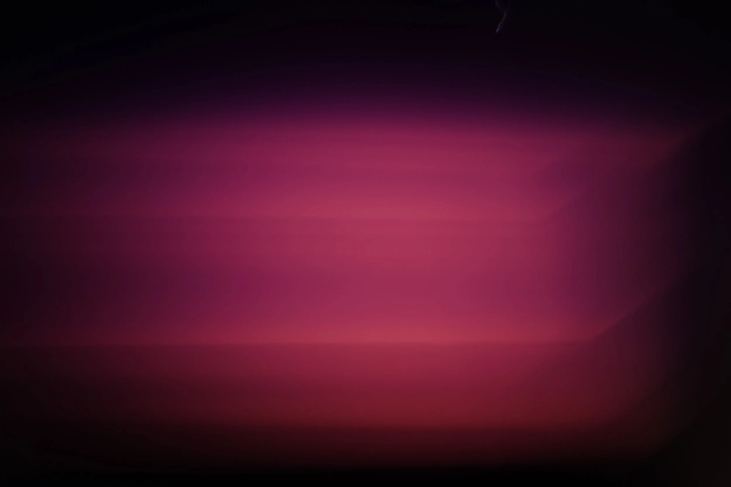 _DSF3558.JPG